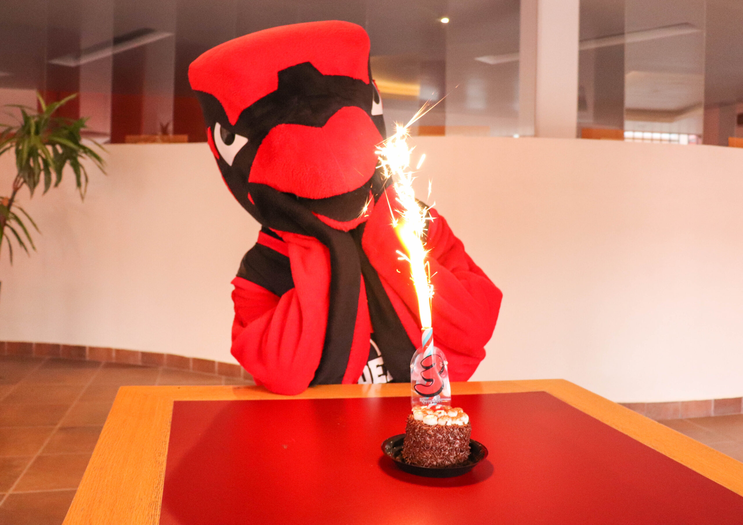 3er Aniversario Red