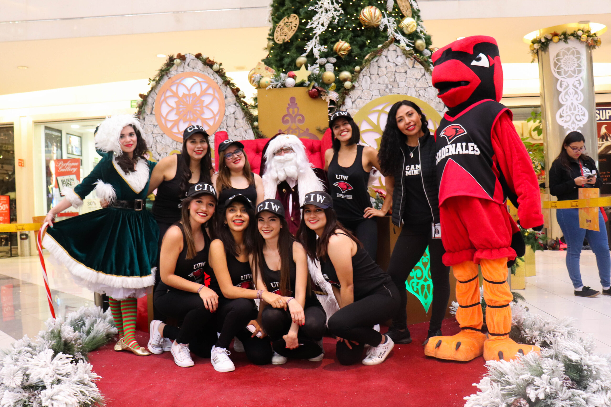 Flashmob Galerias